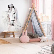 φωτοταπετσαρία με αλογο